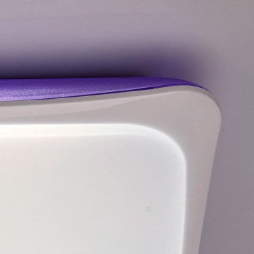 Люстра с пультом ДУ MW-Light 674014501 Ривз 50W LED